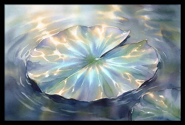 Lily Pad Reflections