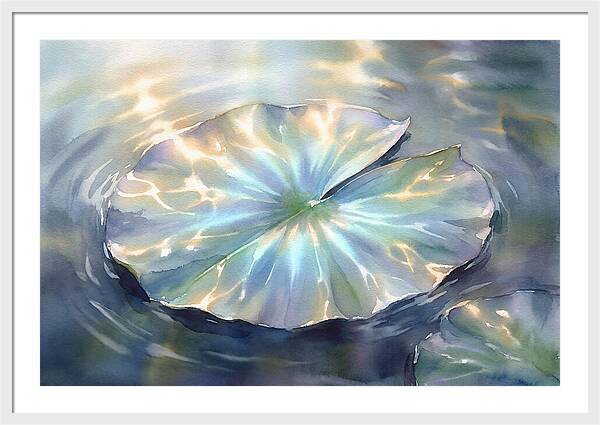 Lily Pad Reflections