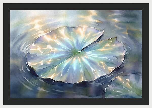 Lily Pad Reflections