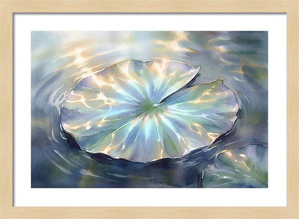 Lily Pad Reflections