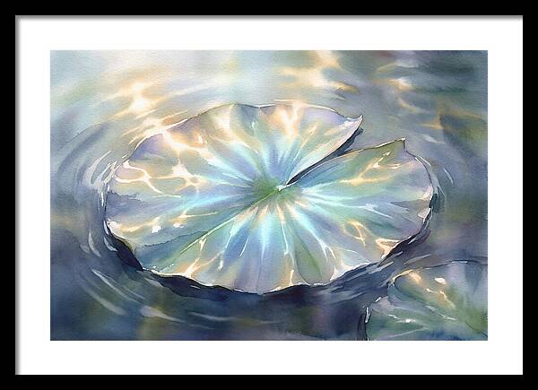 Lily Pad Reflections