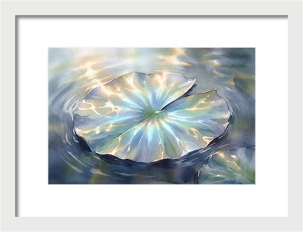 Lily Pad Reflections