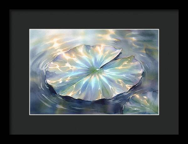 Lily Pad Reflections
