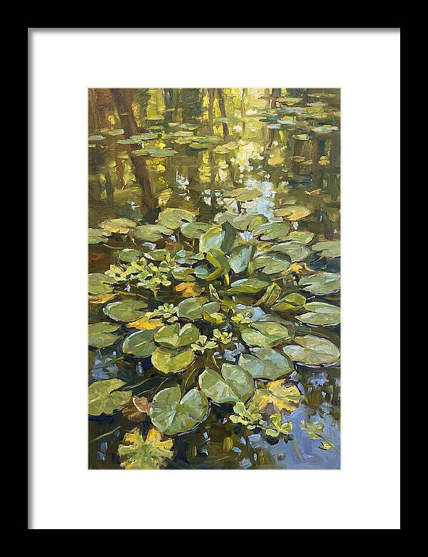 Lily Pads Reflected In Water