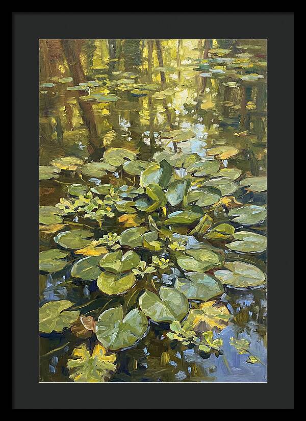 Lily Pads Reflected In Water