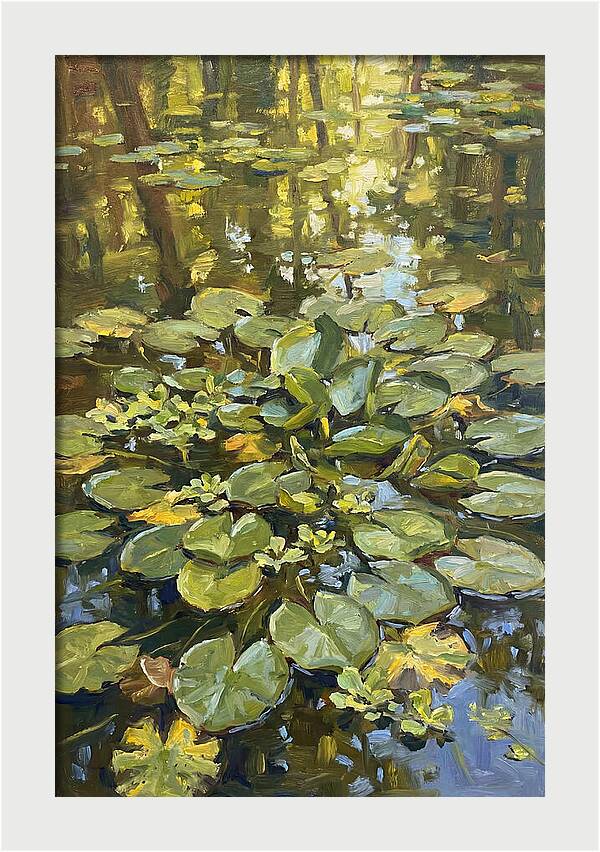 Lily Pads Reflected In Water