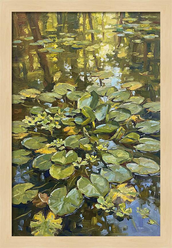 Lily Pads Reflected In Water