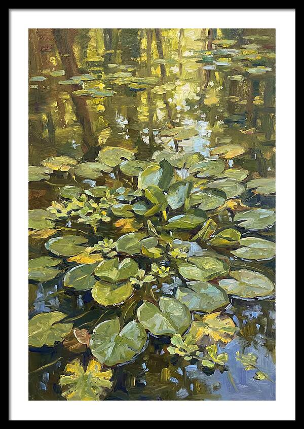 Lily Pads Reflected In Water