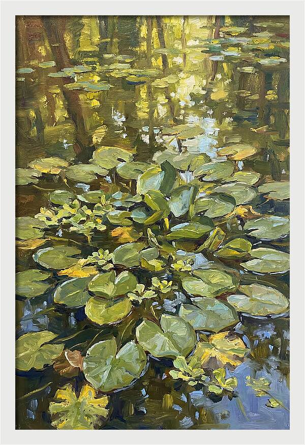 Lily Pads Reflected In Water