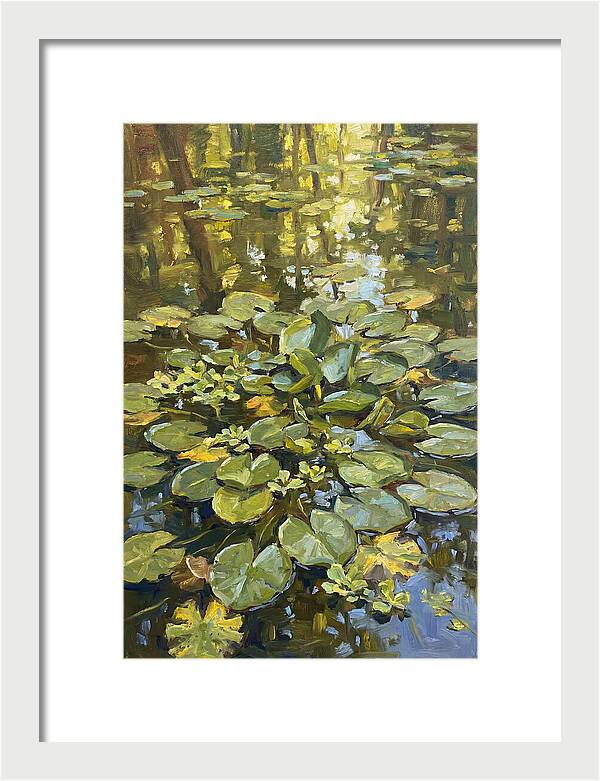 Lily Pads Reflected In Water