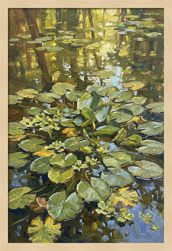 Lily Pads Reflected In Water