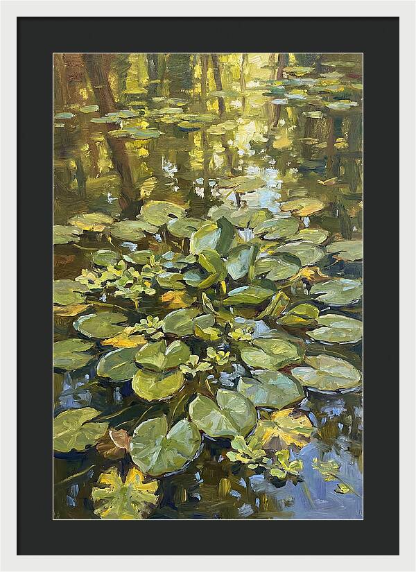 Lily Pads Reflected In Water