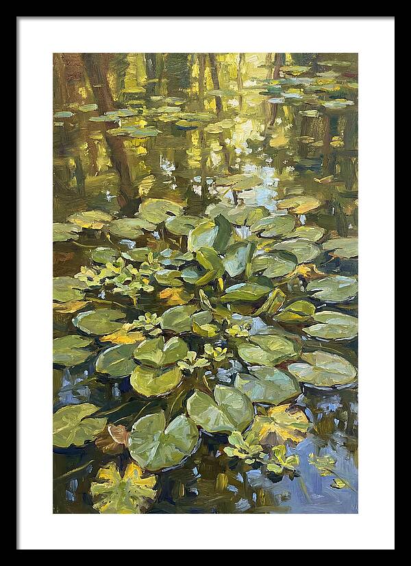 Lily Pads Reflected In Water
