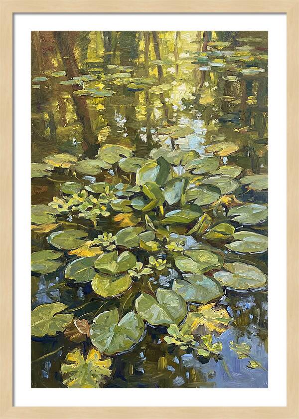 Lily Pads Reflected In Water