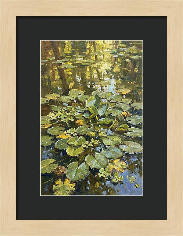 Lily Pads Reflected In Water