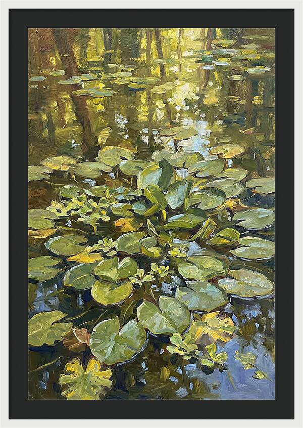 Lily Pads Reflected In Water