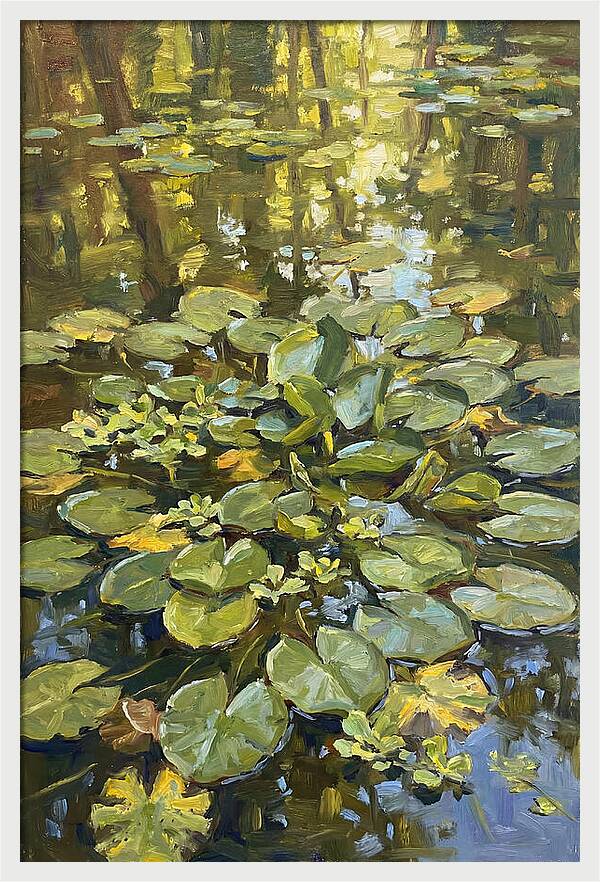 Lily Pads Reflected In Water