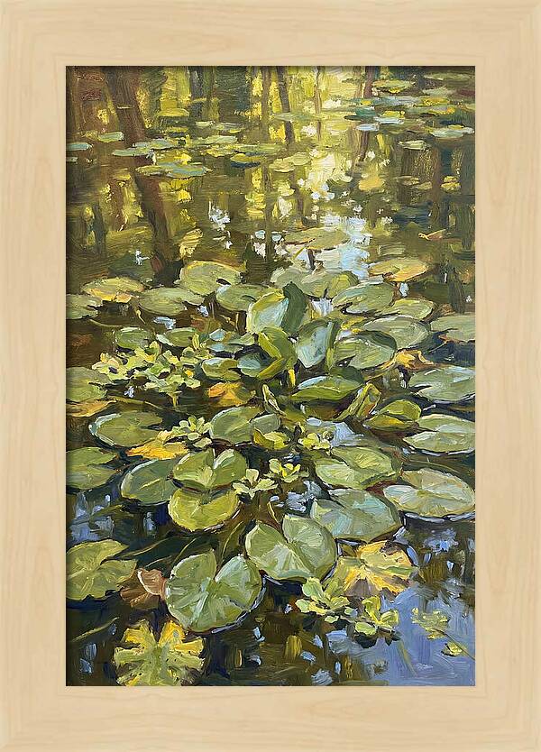 Lily Pads Reflected In Water