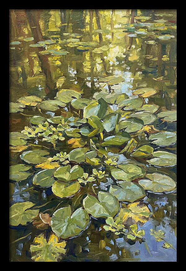 Lily Pads Reflected In Water