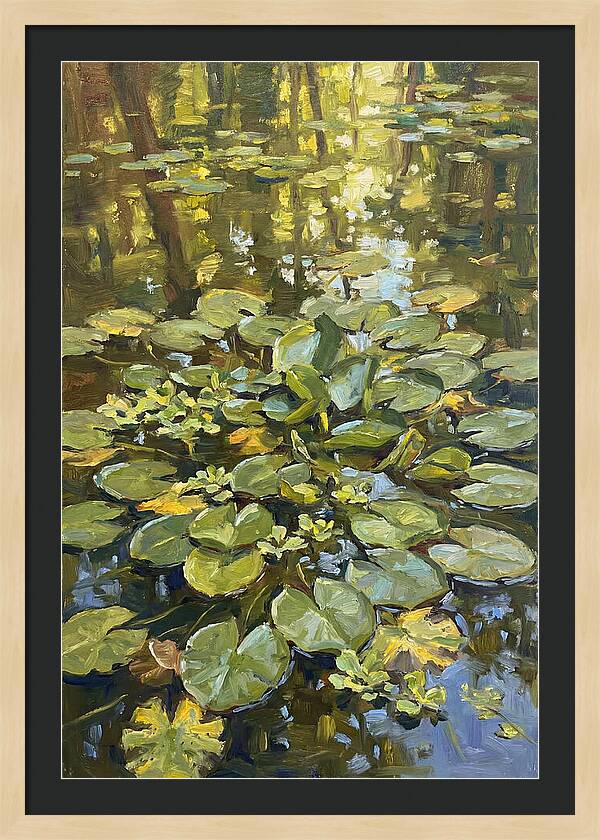 Lily Pads Reflected In Water