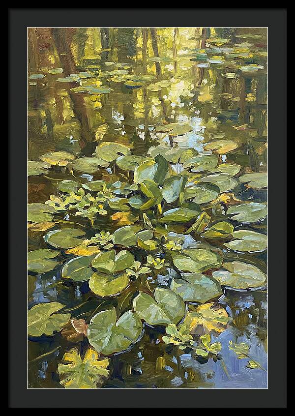 Lily Pads Reflected In Water