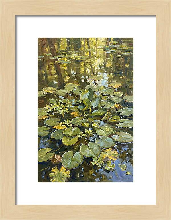 Lily Pads Reflected In Water