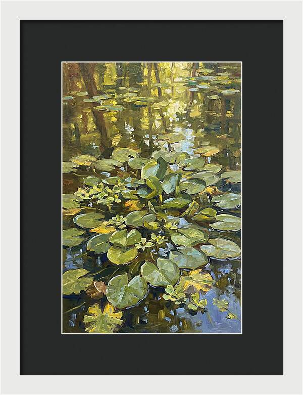 Lily Pads Reflected In Water