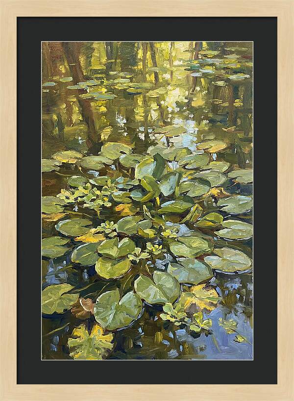Lily Pads Reflected In Water