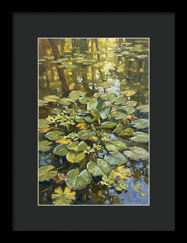 Lily Pads Reflected In Water