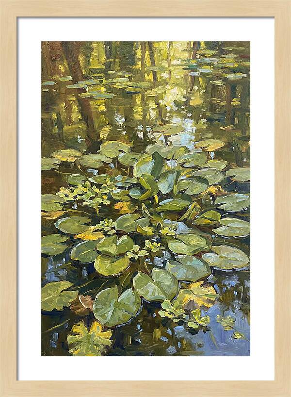 Lily Pads Reflected In Water