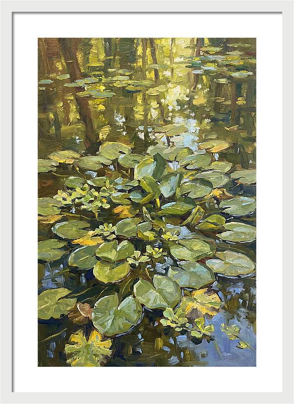 Lily Pads Reflected In Water