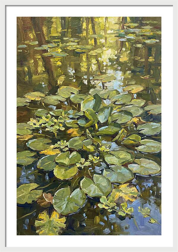 Lily Pads Reflected In Water