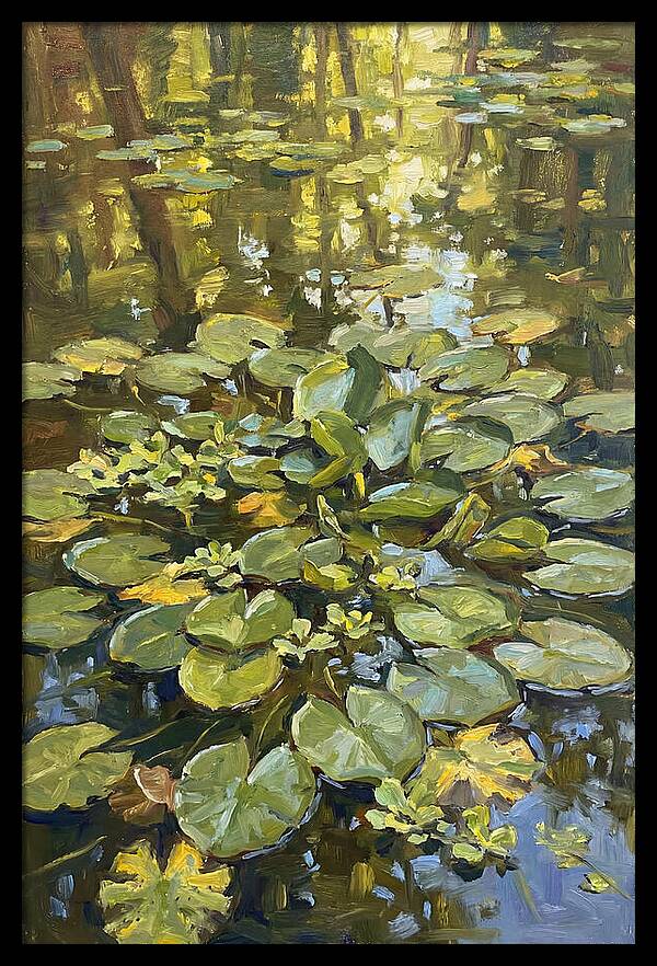Lily Pads Reflected In Water