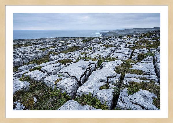 Limestone Landscapes Of Burren