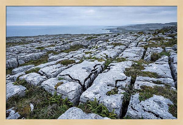 Limestone Landscapes Of Burren