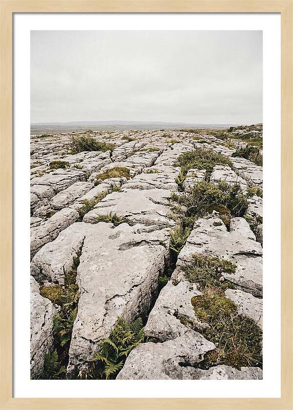 Limestone Landscapes Of The Burren
