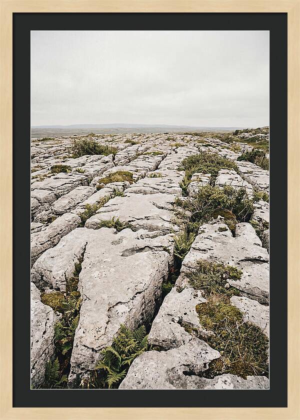 Limestone Landscapes Of The Burren