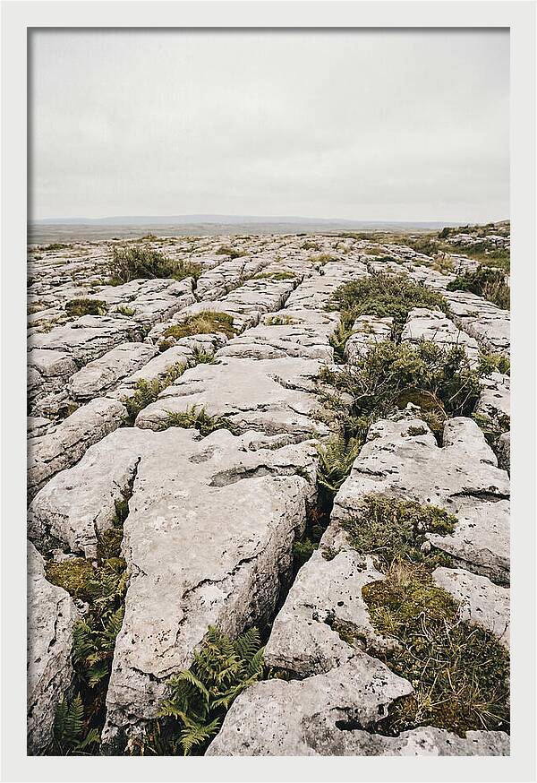 Limestone Landscapes Of The Burren