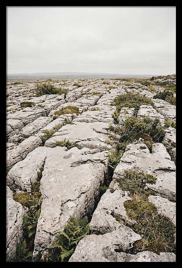 Limestone Landscapes Of The Burren