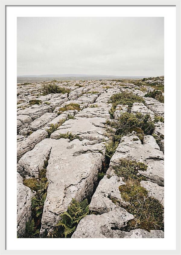 Limestone Landscapes Of The Burren
