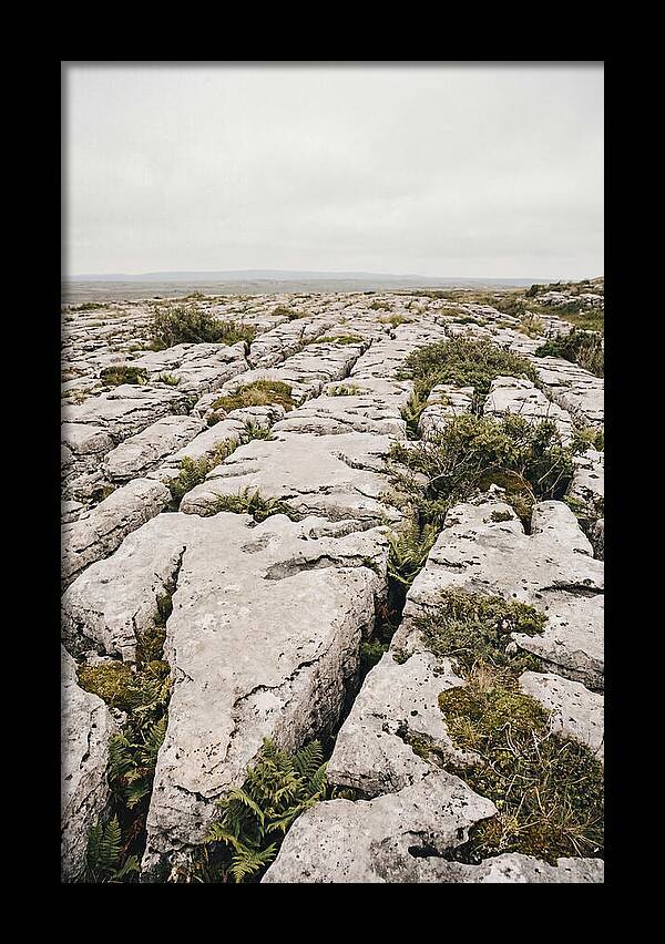 Limestone Landscapes Of The Burren