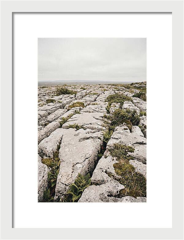 Limestone Landscapes Of The Burren