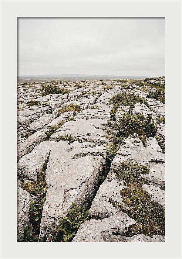 Limestone Landscapes Of The Burren