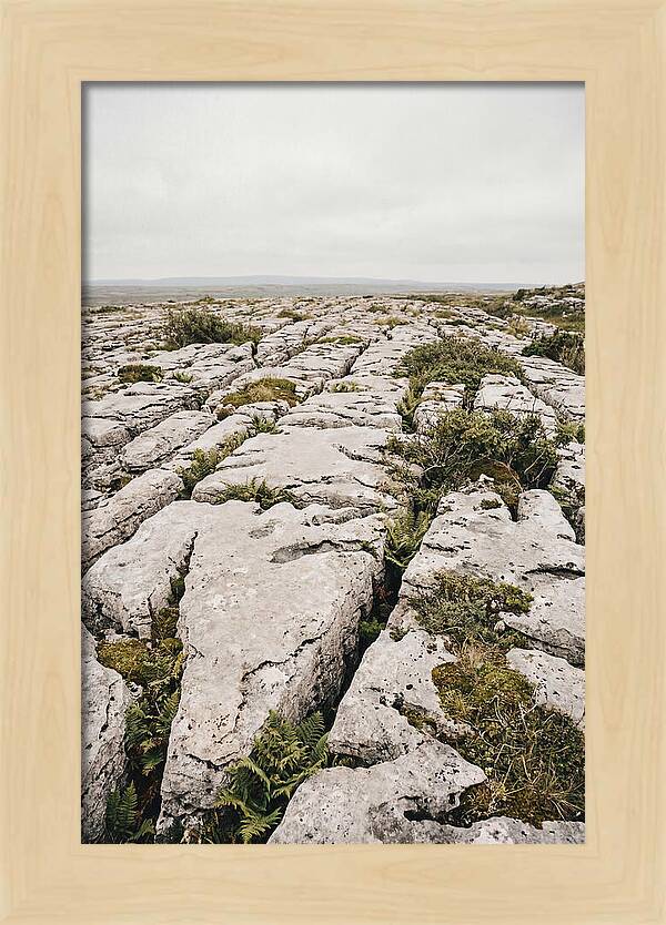 Limestone Landscapes Of The Burren
