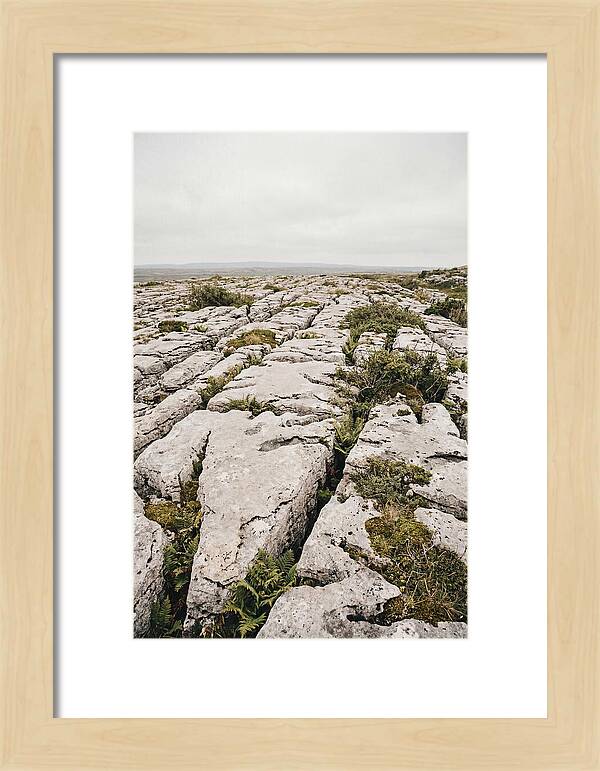 Limestone Landscapes Of The Burren