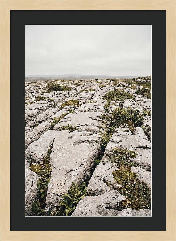 Limestone Landscapes Of The Burren