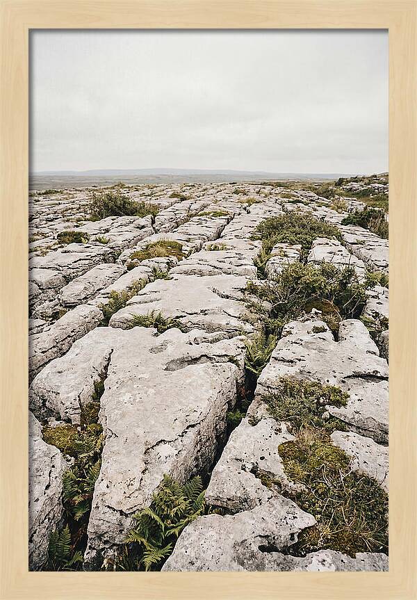 Limestone Landscapes Of The Burren