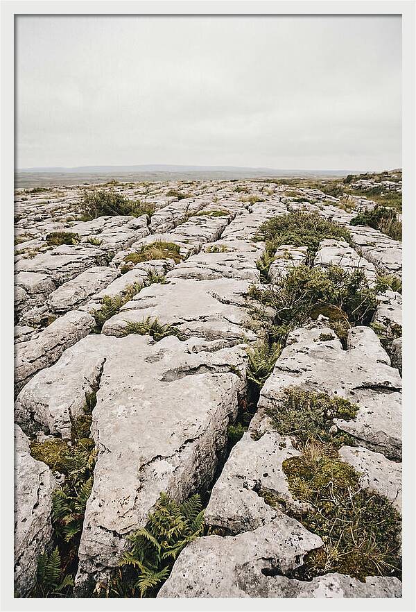 Limestone Landscapes Of The Burren