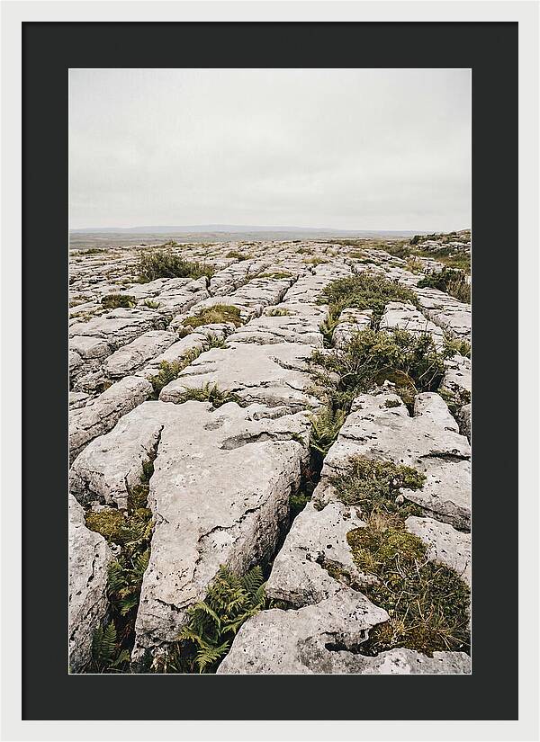 Limestone Landscapes Of The Burren