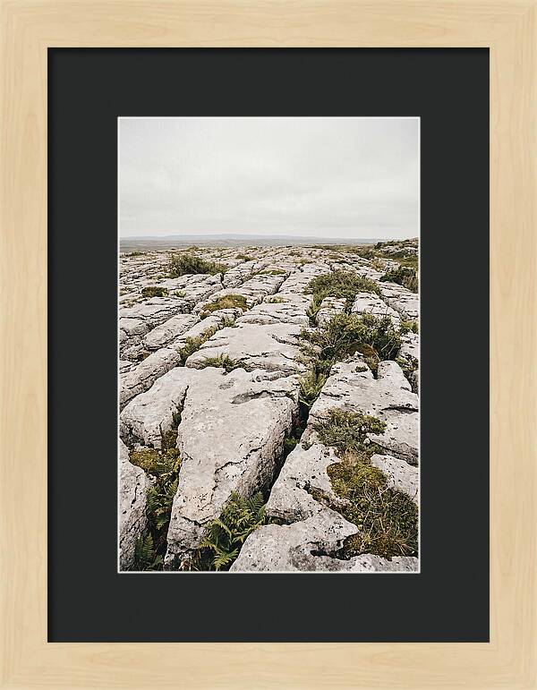 Limestone Landscapes Of The Burren